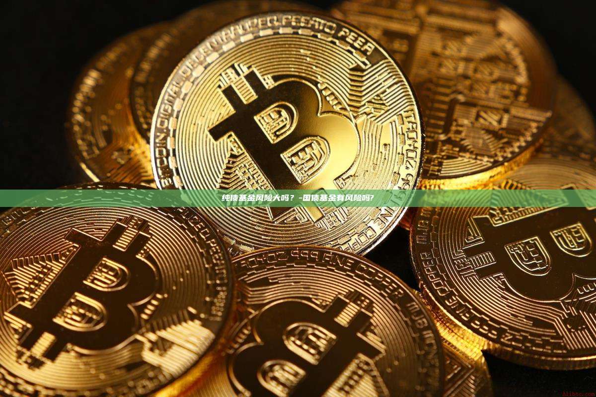 纯债基金风险大吗？-国债基金有风险吗?