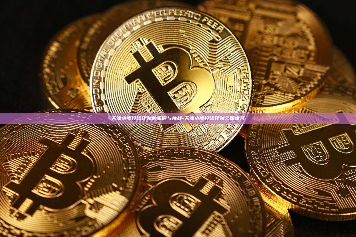 天津小额投资理财的机遇与挑战-天津小额投资理财公司排名